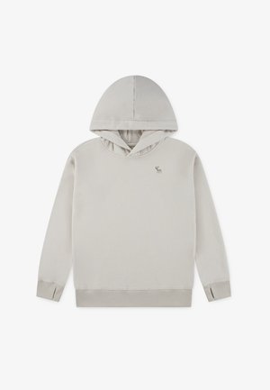 Abercrombie & Fitch ESSENTIALS - Felpa - pumice stone
