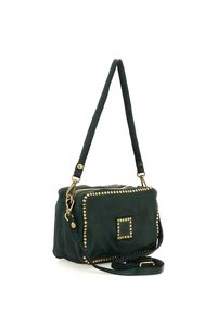 Borsa a tracolla in suede verde con dettagli in oro, forma rettangolare, tracolla regolabile e chiusura con cerniera. Tessuto liscio con leggero effetto lucido.