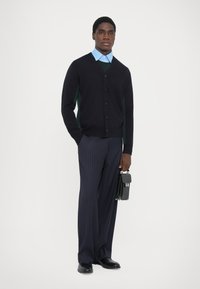 Cardigan bleumarin cu închidere cu butoane și laterale verzi, asociat cu o cămașă cu guler de culoare albastră deschisă și pantaloni picați cu dungi; ținând o geantă neagră.