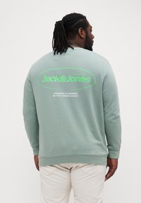 Lys grøn sweatshirt med lange ærmer, ribbede manchetter og kant. Har et stort grafisk print i grønt og hvidt på ryggen.