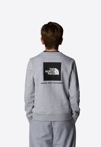 Grå hettegenser med ribbestrikkede mansjetter og nederkant, med et svart firkantet grafisk motiv på baksiden som har teksten "THE NORTH FACE" og "NEVER STOP EXPLORING".