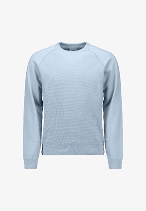 Lichtblauwe gebreide trui met een ribbelstructuur, ronde halslijn en lange mouwen. Heeft raglanmouwen en een ontspannen pasvorm.