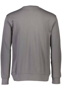 Sudadera gris con cuello redondo, confeccionada en una tela suave, con mangas largas, puños acanalados y dobladillo recto. Vista trasera que muestra una superficie lisa.