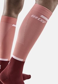 CEP THE RUN COMPRESSION SOCKS KNEE-HIGH WOMEN - MADE IN GERMANY - Kniekousen - rose dark red