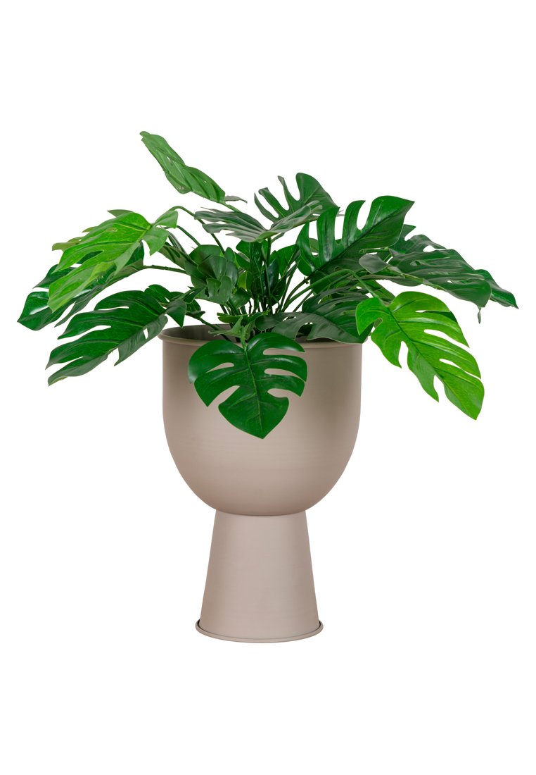 Runder beiger Blumentopf mit zylindrischer Basis, der lebendige grüne Monstera-Blätter hält, mit einer glatten matten Oberfläche und einem eleganten Design.