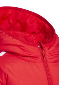 adidas Performance Winterjas - light red