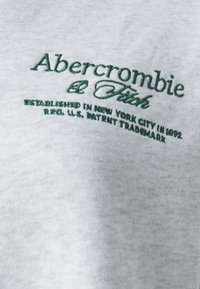 Abercrombie & Fitch Logo Crew Sweatshirt - Ikdienas džemperis - grey heather