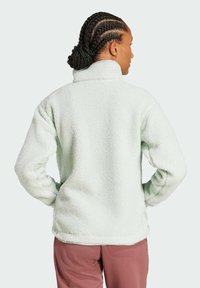 Adidas Terrex XPLORIC HIGH PILE - Fleece trui - linen green