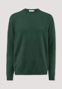 Grüner Pullover aus weichem, strukturiertem Stoff. Rundhalsausschnitt mit langen Ärmeln und gerippten Bündchen und Saum. Keine sichtbaren Muster oder Beschläge.