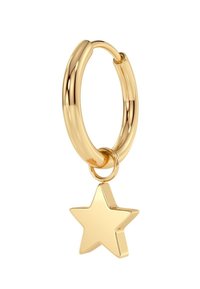 Kuldne rõngaskõrvarõngas, millel on tähekujulise ripatsi. Rõngas on sile, ümar ja läikiv, samas kui täht on kolmemõõtmeline ja poleeritud pinnaga.