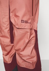 Jack Wolfskin ALPSPITZE AIR PANTS W - Smučarske hlače - blush powder