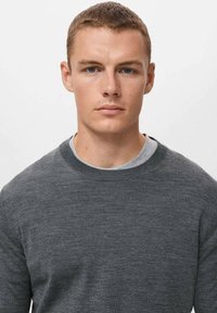 Grå rundhalsad tröja gjord av mjukt tyg, med en klassisk design och en fin textur. Bärs över en ljusgrå skjorta.