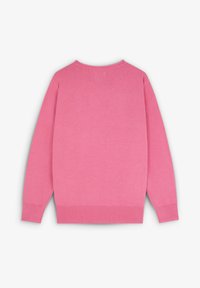 Rosa Pullover mit Rundhalsausschnitt, langen Ärmeln und gerippten Bündchen sowie Saum. Weicher Stoff mit glatter Textur, keine sichtbaren Muster oder Akzente.