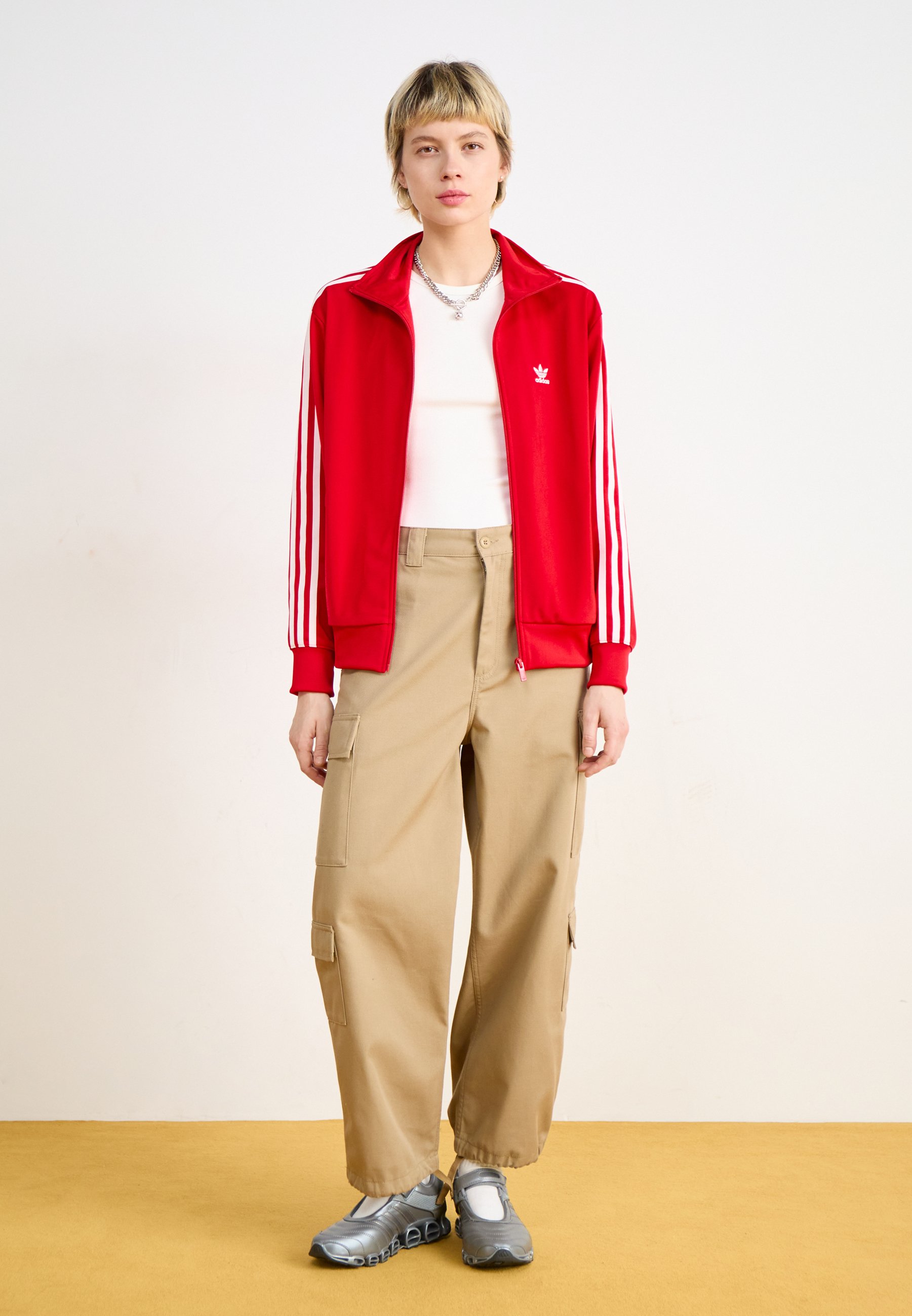 コアラ 41K6tsT0MiL._UF350,350_QL80_.jpg