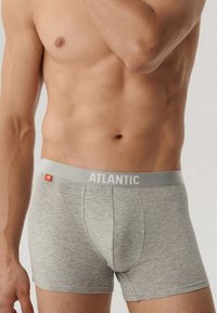Szare bawełniane bokserki z jasnoszarym elastycznym pasem, na którym w białym kolorze znajduje się napis "ATLANTIC". Miękka tekstura, dopasowany krój.