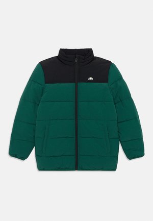 Ellesse NEUTRON UNISEX - Jas - dark green/black