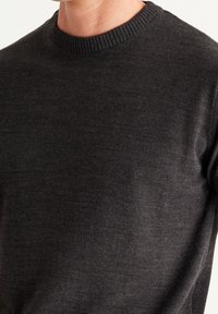 Dunkelgrauer Langarmpullover mit ribbelndem Rundhalsausschnitt. Hergestellt aus glattem Stoff, mit einem schlichten Design ohne Muster oder Akzente.