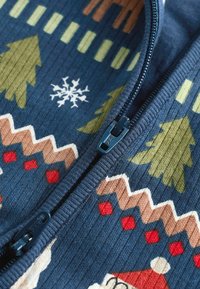 Next PRINTED CHARACTER CHRISTMAS - REGULAR FIT - Pyjamas - navy