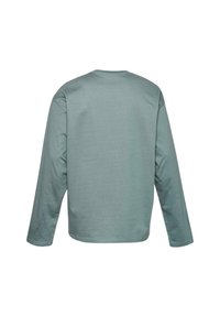 Long-sleeve shirt in soft, muted green cotton. Features a crew neck, relaxed fit, and minimal seams for a smooth appearance. No graphics.