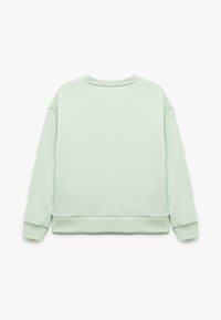 Jasnozielona bluza z okrągłym dekoltem i ściągaczami na rękawach. Miękka faktura, luźny krój i czysty design z tyłu bez zdobień.
