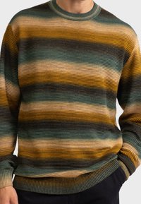 Maglione a righe multicolori con fasce alternate di verde, giallo, marrone e nero. Texture a maglia, colletto girocollo e orlo a coste.