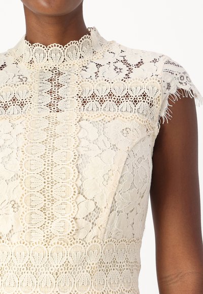Robes en dentelle avec col haut à bords festonnés, couleur beige, motifs floraux et tissu texturé. Présente des détails raffinés et des manches effilochées.
