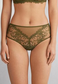 Green lace brief with sheer mesh panels, featuring floral patterns and scalloped edges, offering an intricate design and smooth texture.