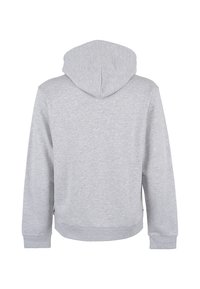 Felpa grigia realizzata in un tessuto morbido, con cappuccio regolabile, maniche lunghe e orlo a coste, con un design posteriore liscio e senza decorazioni.