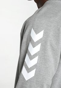 Felpa grigia con collo a giro, caratterizzata da un motivo a chevron bianco sulla manica sinistra. Tessuto morbido, design casual e forma aderente.