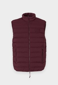 MOUNTAIN ECO MEDIUM - Veste - bordeaux