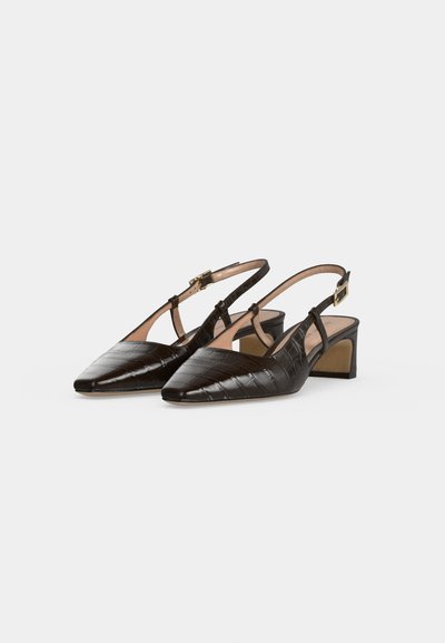 Paire de chaussures slingback marron foncé à texture crocodile, bouts pointus, boucles aux chevilles et petits talons blocs.