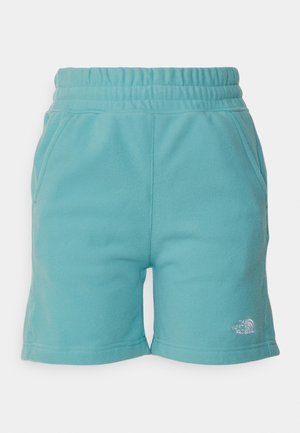 The North Face GLACIER - Sports shorts - reef water