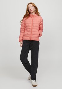 JJXX JXNORA - Giacca invernale - peach echo