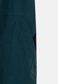 Burton SKYLAR UNISEX - Sínadrág - deep emerald