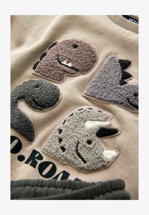 Bežinis džemperis su keturiais tekstūriniais dinozaurų emblemomis rudos, pilkos ir grietinėlės spalvų, žemiau yra atspausdintas teksto detalės. Minkšta audinio tekstūra.