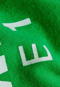 Mammut T-shirt med print - pinea