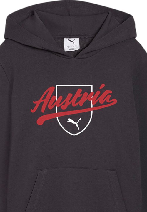PUMA ÖFB ÖSTERREICH FTBLCULTURE HOODY KIDS REPLICAS - SWEATSHIRTS - National team wear - grauweiss — photo 3