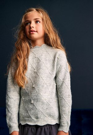 PEARL STANDARD - Jumper - grey