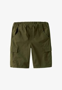 Valittu, winter moss