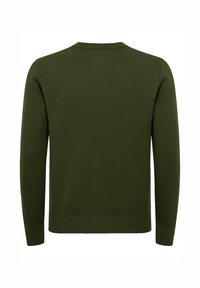 Maglione verde scuro con scollo a girocollo, maniche lunghe e bordi a coste. Texture liscia, design semplice; senza motivi o decorazioni visibili.