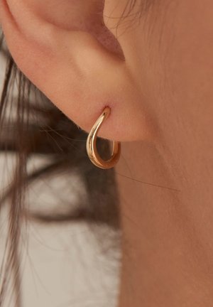 Earrings - gold