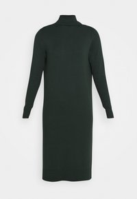 Vestito a collo alto lungo di colore verde scuro, realizzato in tessuto con una texture liscia. Presenta maniche lunghe e una linea dritta, che termina sotto il ginocchio.