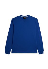 Felpa blu a maniche lunghe realizzata in cotone, con scollo rotondo e polsini a costine, caratterizzata da un dettaglio a cucitura a V sul davanti.