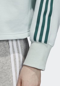 Světle modrá mikina s tmavě zeleným designem tří pruhů na rukávu, měkká textura, žebrované manžety. Šedé teplákové kalhoty s bílými pruhy.