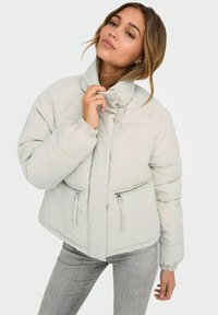 Lichtgrijze donzen jas met een hoge kraag, twee zakken met ritssluiting en elastische manchetten. Heeft een gestikte textuur en een cropped ontwerp.