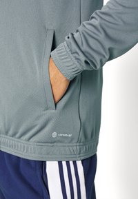 Lyst grå træningssweatshirt med ribbet manchet og sidelommer, med et "AEROREADY" logo på sømmen. Blødt, tekstureret stof.
