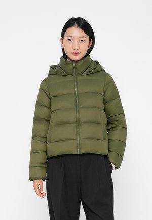 CASUAL JACKET - Žieminė striukė - utility olive