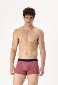adidas Sportswear ACTIVE FLEX TRUNK UNDERWEAR - Trumpikės - assorted
