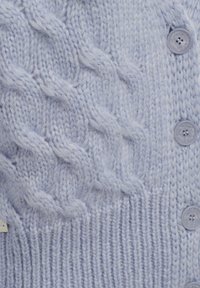 Cardigan lavorato a maglia blu chiaro con motivo a treccia, orlo a costine e quattro bottoni rotondi, che mette in mostra una texture morbida e un'artigianalità dettagliata.