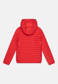 Rote isolierte Jacke mit Kapuze, mit gestepptem Design, elastischen Bündchen und glatter Textur. Rückansicht, leichtes Material.